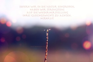 12.06.2015 tropfentextbatch 12.06.2015 tropfen2IMG_0590