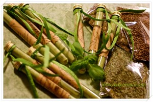 24.09.2015BasilikumzuckerIMG_2603