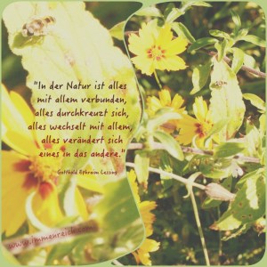 07.10.2015spruch lessing