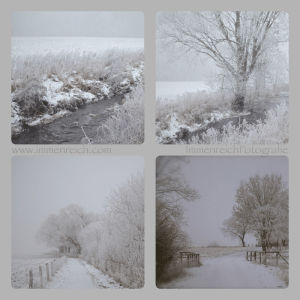 winterspaziergang 21.01.2016