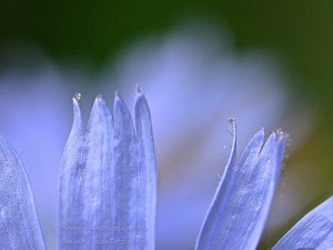 08.07.2016 wordpress